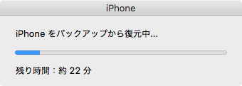 11_ios-clean-install_up