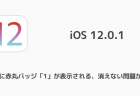 【iPhone】iOS12で設定の赤丸バッジが消えない時の対処方法