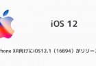 【iPhone】iOS12.1でロック迂回バグなどCVE-ID基準で32件の脆弱性が修正