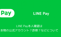 【LINE】LINE Pay本人確認は本物の公式アカウント？詐欺？などについて