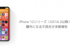 【iPhone】iOS14.2でバッテリーの減りが早い、バッテリーパフォーマンスが低下する問題と対処