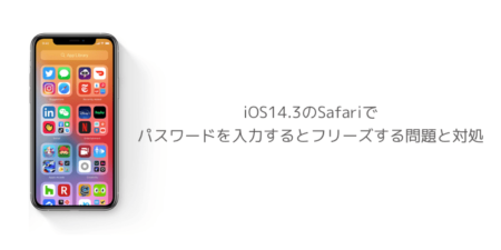【iPhone】iOS14.3のSafariでパスワードを入力するとフリーズする問題と対処