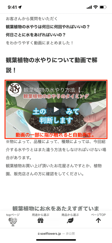 Iphone Ios15のsafariで動画が勝手に再生 自動再生される問題と対処について 楽しくiphoneライフ Sbapp