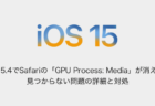 【iPhone】iOS15.4でSafariの「GPU Process: Media」が消えた、見つからない問題の詳細と対処