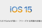 【iPhone】iOS15.6でSafariが重い・フリーズする問題の詳細と対処