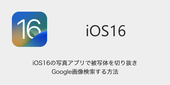Iphone Ios16の写真アプリで被写体を切り抜きgoogle画像検索する方法 Sbapp