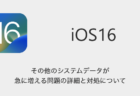 【iOS16】その他のシステムデータが急に増える問題の詳細と対処について
