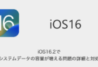 【iPhone】iOS16.2でシステムデータの容量が増える問題の詳細と対処