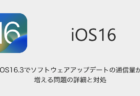 【iPhone】iOS16.3でソフトウェアアップデートの通信量が増える問題の詳細と対処