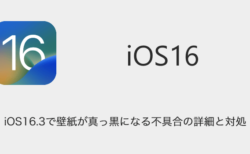 Iphone Ios16 1で壁紙が真っ黒になる 壁紙が表示されない不具合の詳細と対処 Sbapp