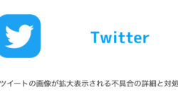 【Twitter】ツイートの画像が拡大表示される不具合の詳細と対処（2023年3月8日）