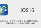 【iPhone】iOS16.6.1でアプリが落ちる・起動できない・挙動がおかしい問題の詳細と対処