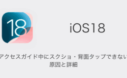 【iPhone】iOS18でアクセスガイド中にスクショ・背面タップできない原因と詳細