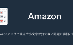 【iPhone】Amazonアプリで濁点や小文字が打てない問題の詳細と対処