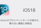 【iPhone】Safariのプライベートモードが消えた・使えない原因と対処法