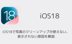 【iPhone】iOS18で写真のクリーンアップが使えない・表示されない原因を解説