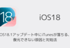 【iPhone】iOS18.1アップデート中にiTunesが落ちる・復元できない原因と対処法