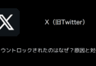 【X(旧Twitter)】アカウントロックされたのはなぜ？原因と対処法（2024年11月）