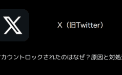 【X(旧Twitter)】アカウントロックされたのはなぜ？原因と対処法（2024年11月）