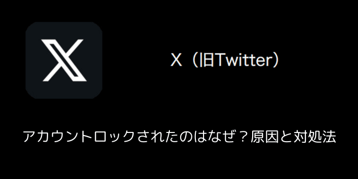 X(旧Twitter)】アカウントロックされたのはなぜ？原因と対処法（2024年