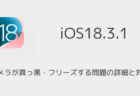 【iPhone】iOS18.3でカメラが真っ黒・フリーズする問題の詳細と対処