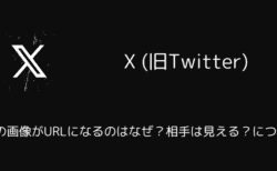 X(旧Twitter)でDMの画像がURLになるのはなぜ？相手は見える？について