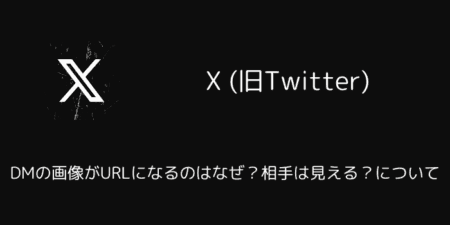 X(旧Twitter)でDMの画像がURLになるのはなぜ？相手は見える？について