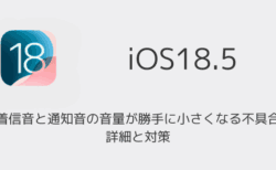 【iPhone】着信音と通知音の音量が勝手に小さくなる不具合の詳細と対策（iOS18.5）