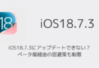 【iPhone】iOS18.7.3にアップデートできない?ベータ版経由の回避策も制限