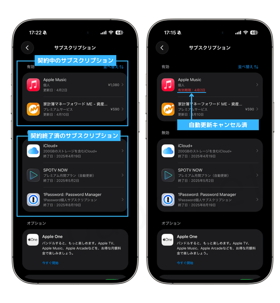 設定アプリのサブスクリプションの契約状況の見方