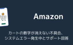 Amazonカートの数字が消えない不具合、システムエラー発生中とサポート回答（2026年8月）