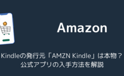 Windows版Kindleの発行元「AMZN Kindle」は本物？公式アプリの入手方法を解説